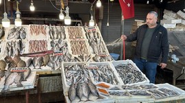 Sardalya ve hamsi balıkçıların yüzünü güldürüyor