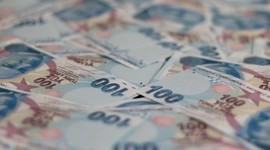 TL mevduat faizinde gerileme durdu