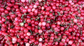 Meyve fiyatları cep yakıyor!