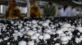 Bitkisel ve hayvansal kredilerde değişiklik
