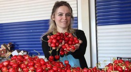 Dünya ülkeleri Manisa kirazını tercih ediyor