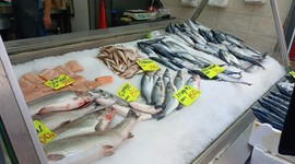 Palamudun fiyatı belli oldu, vatandaşın yüzü güldü