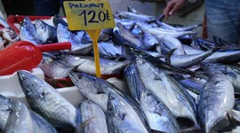 Palamut göç etti, fiyatı 120 TL'ye yükseldi