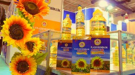 Ayçiçek yağında damping! A101, ŞOK, Migros, CarrefourSA ve Tarım Kredi indirimi! 57 TL'ye düştü