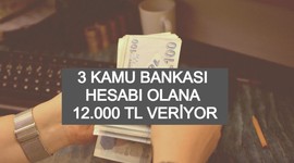12000 TL hesaplara yatıyor: 3 kamu bankasında hesabı olan hemen alıyor