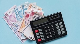 Türkiye'nin dijital Gelir İdaresi vizyonu gerçek oldu
