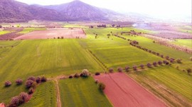 Milli Emlak 1 tane çeyrek altın fiyatına arsa tapusu sahibi yapıyor