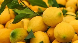 Fiyat farkı yüzde 253 oldu