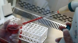 En uzun yaşayan kan grubu belli oldu!