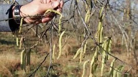 Don afetinde sigortasız çiftçiye de yardım talebi!