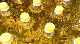 Tarım, gıda ve içecek sektöründen 7,1 milyar dolar ihracat