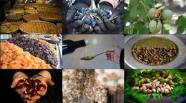 Türkiye’nin 81 ürünü AB tescil sırasına girdi