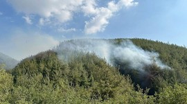 Osmaniye'de ormanlara giriş 5 ay yasaklandı