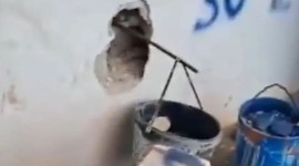 Kurban satış yerinde kantar hilesi ortaya çıktı