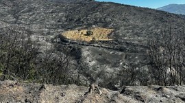 Yangın felaketinde ‘mucize’ görüntü