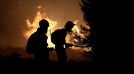 Orman yangınlarına 39 bin gönüllü destek oldu