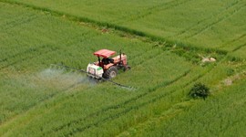 Ülker ve Sabancı Üniversitesi buğday için ele ele verdi
