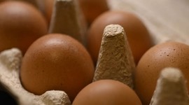 Sofralık yumurta ihracatı fon kesintisi kaldırıldı