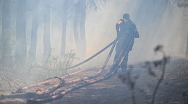 Orman yangınlarının yüzde 90'ı insan kaynaklı