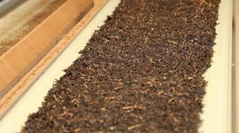 Çay zamlandı: İşte yeni fiyatı