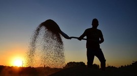 81 ilde çiftçilere zorunlu oldu!