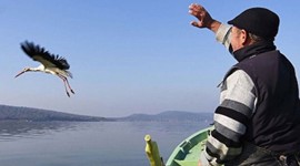 Yaren leylek herkesi şaşırttı