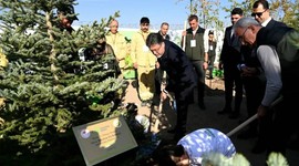 Milli Ağaçlandırma Günü'nde çifte rekor!