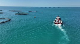 Balık üretiminde Cumhuriyet tarihi rekoru