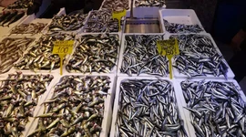 Balıkçı tezgahlarında aylar sonra sürpriz! Kilosu 150 TL