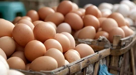 Yumurta satışında yeni dönem