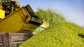 Toprağın bereketi SuperFresh’in ‘hasat’ıyla yılın 365 günü sofralarda