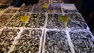 Balıkçı tezgahlarında aylar sonra sürpriz! Kilosu 150 TL