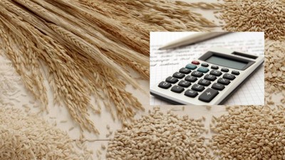 Arpa, buğday, kuru fasulye ve mısıra zam! Ekim ayı güncel hububat fiyatları!