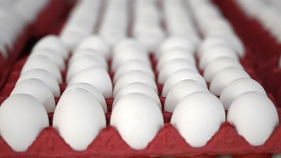 Yumurta fiyatlarına zam geldi!