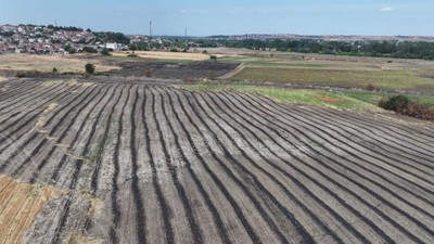 Anız yakmak, toprağı ve üzerindekileri öldürüyor