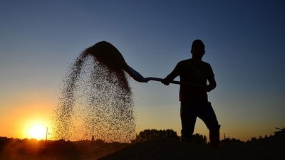 81 ilde çiftçilere zorunlu oldu!