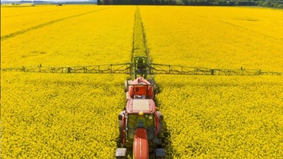 Bitkisel üretimde 2025-2027'de yapılacak yeni desteklemelerin detayları belli oldu