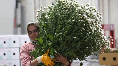 Çiçek sektörü ihracatta rekora koşuyor: 10 ayda 137 milyon dolar