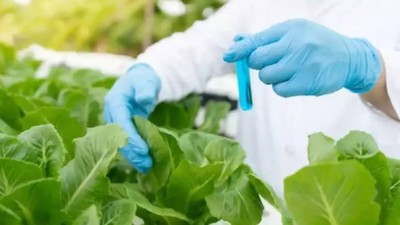 Bakanlıktan yeni karar: Pestisit limitleri güncellendi!