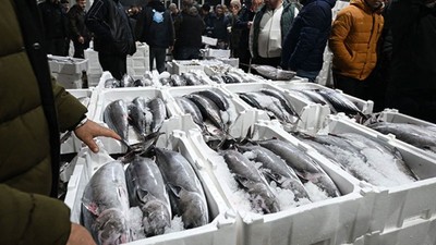 Yılbaşından bu yana 500 ton torik avlandı