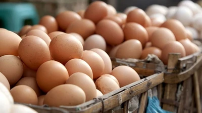 Yumurta satışında yeni dönem