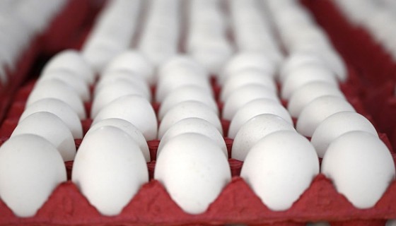 Yumurta fiyatlarına zam geldi!