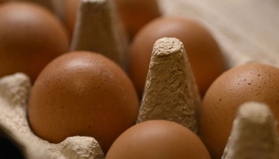 Sofralık yumurta ihracatı fon kesintisi kaldırıldı