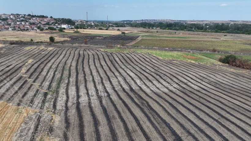Anız yakmak, toprağı ve üzerindekileri öldürüyor