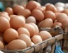 Yumurta satışında yeni dönem